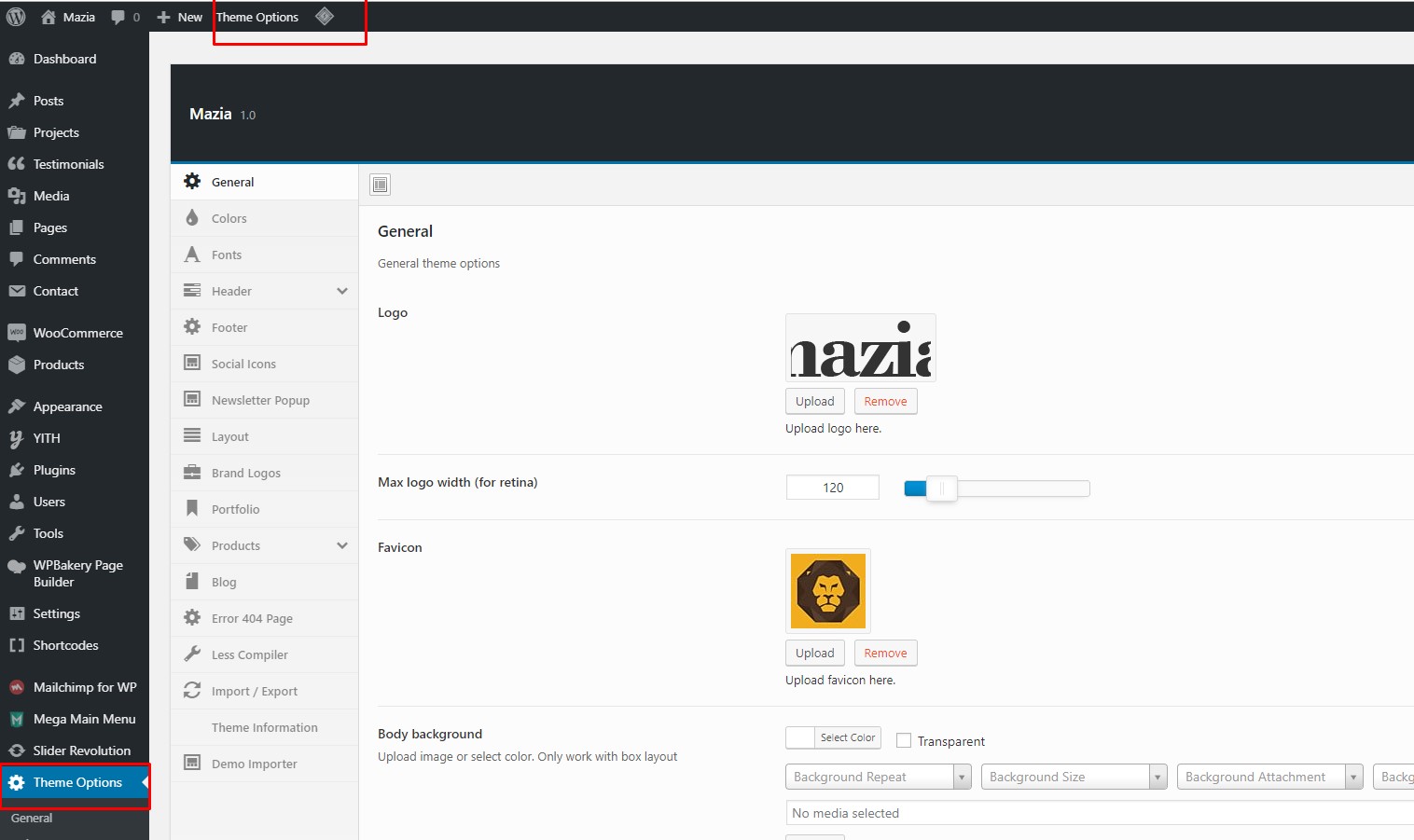 Theme Options