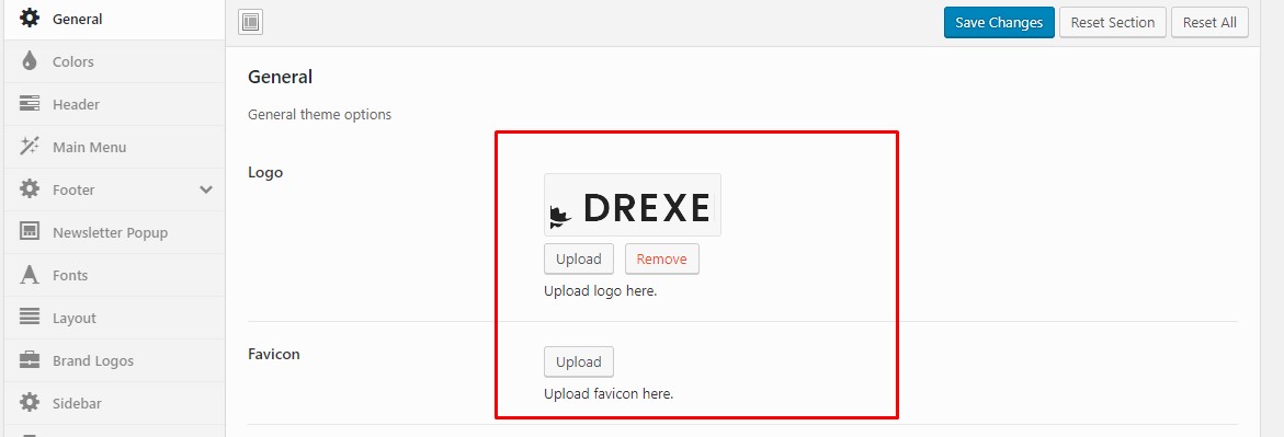 Logo & Favicon