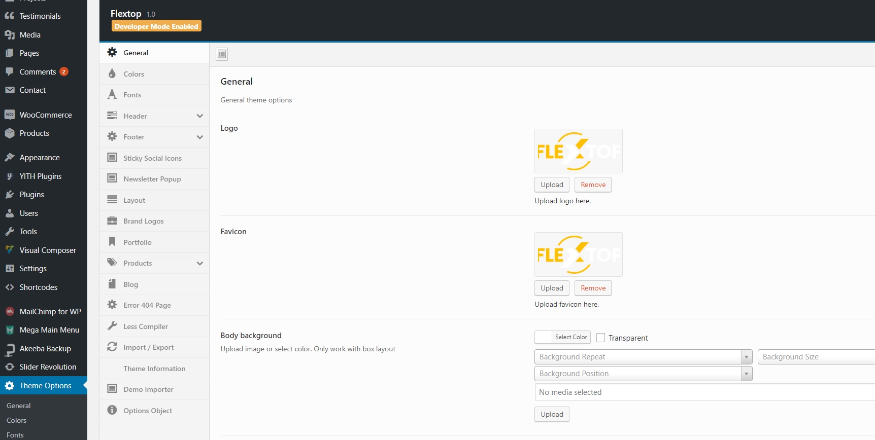 Theme Options