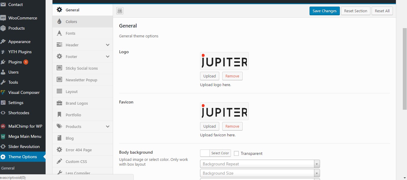 Theme Options