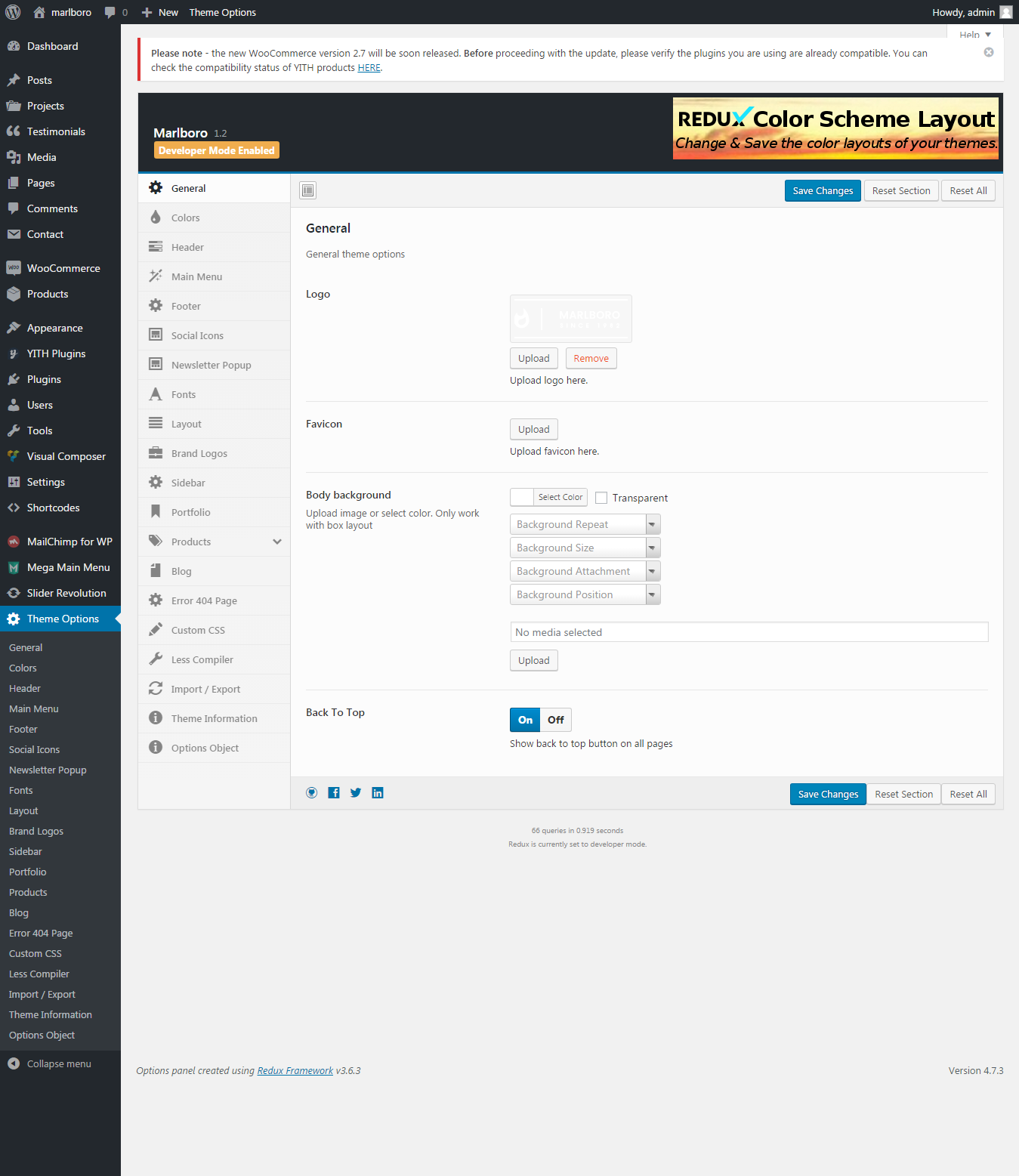 Theme Options