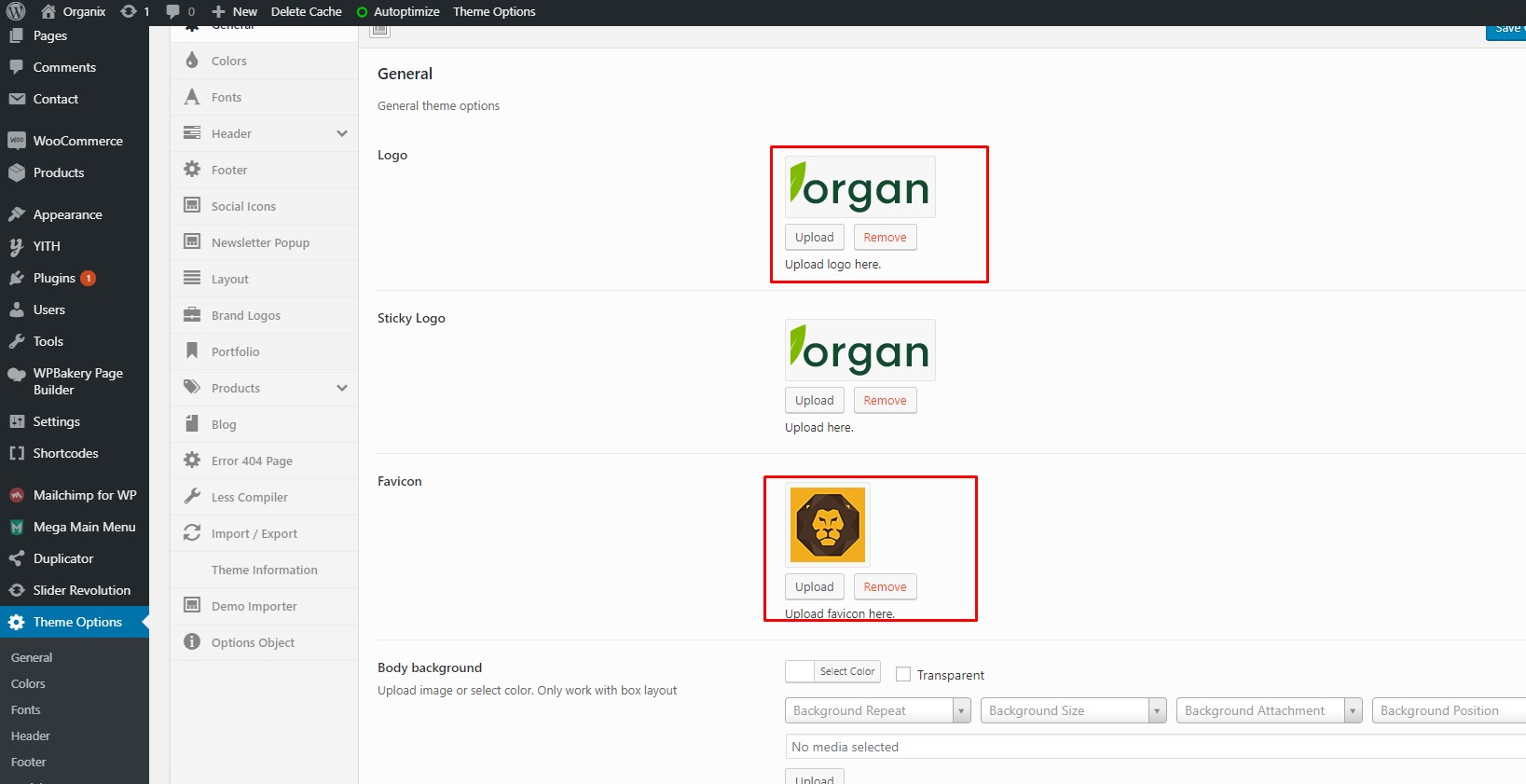 Logo & Favicon