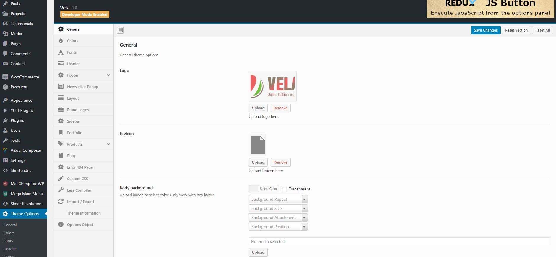Theme Options